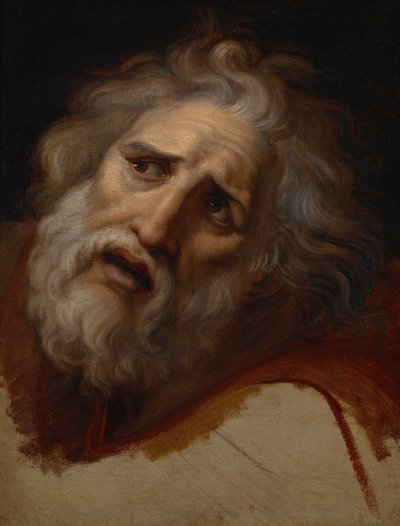 Kopf des Laokoon von Andrea the Elder Appiani